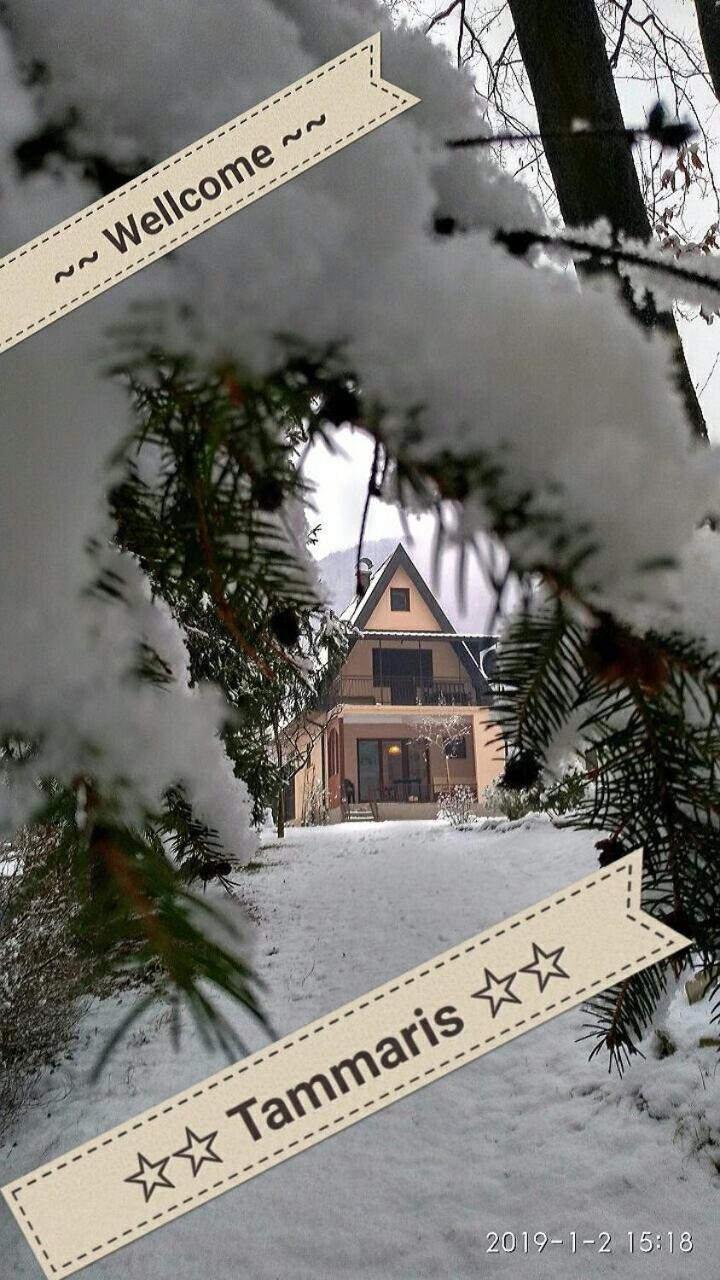 Tammaris Villa Visoko Exteriör bild